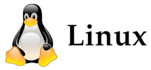 linux e1768151551223